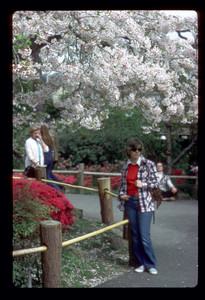 Slide019.jpg